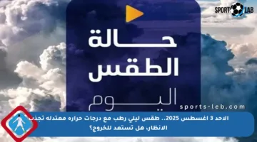 الأحد 3 أغسطس 2025.. طقس ليلي رطب مع درجات حرارة معتدلة تجذب الأنظار، هل تستعد للخروج؟